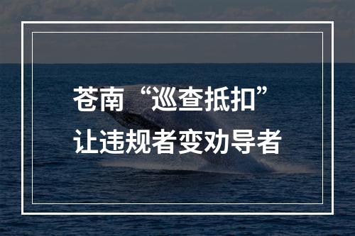苍南“巡查抵扣”让违规者变劝导者