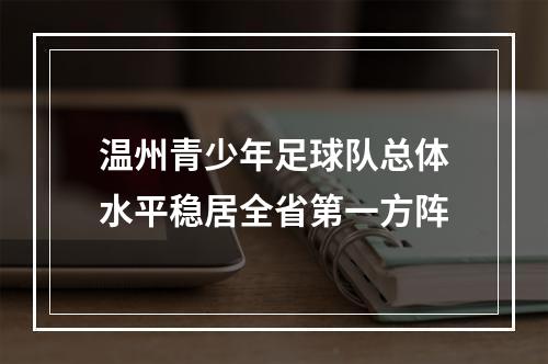 温州青少年足球队总体水平稳居全省第一方阵