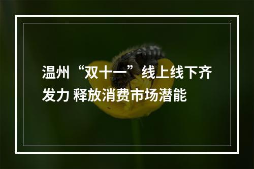 温州“双十一”线上线下齐发力 释放消费市场潜能