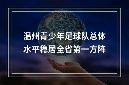 温州青少年足球队总体水平稳居全省第一方阵