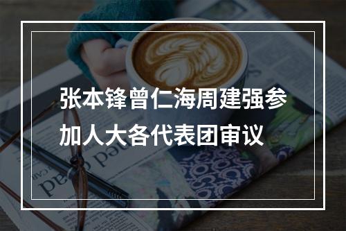 张本锋曾仁海周建强参加人大各代表团审议