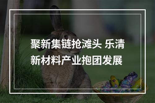 聚新集链抢滩头 乐清新材料产业抱团发展