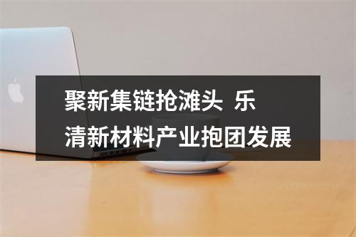聚新集链抢滩头  乐清新材料产业抱团发展