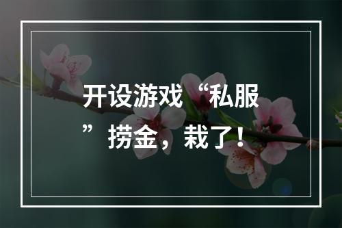开设游戏“私服”捞金，栽了！