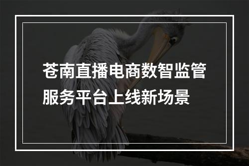 苍南直播电商数智监管服务平台上线新场景