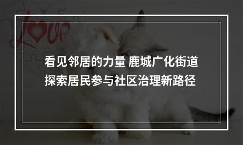 看见邻居的力量 鹿城广化街道探索居民参与社区治理新路径