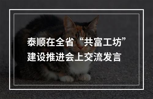泰顺在全省“共富工坊”建设推进会上交流发言