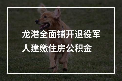 龙港全面铺开退役军人建缴住房公积金