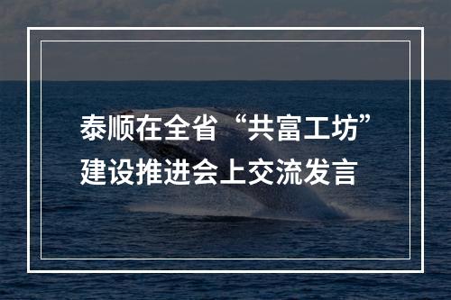 泰顺在全省“共富工坊”建设推进会上交流发言