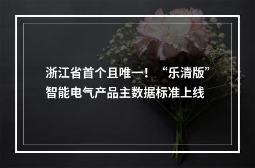 浙江省首个且唯一！“乐清版”智能电气产品主数据标准上线