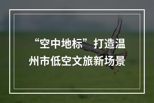 “空中地标”打造温州市低空文旅新场景