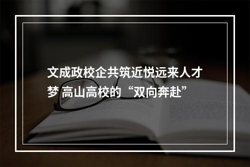 文成政校企共筑近悦远来人才梦 高山高校的“双向奔赴”