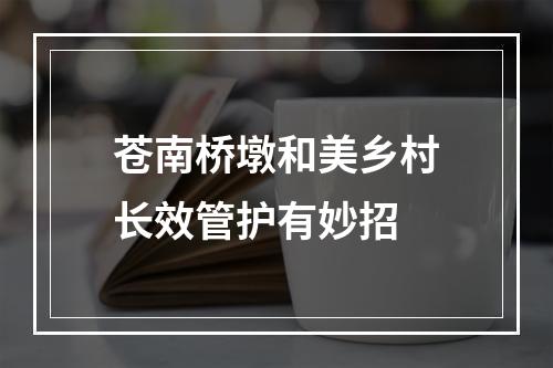 苍南桥墩和美乡村长效管护有妙招
