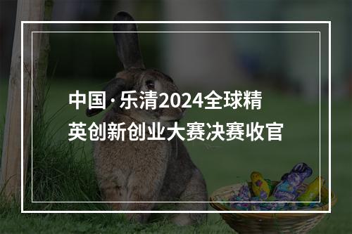 中国·乐清2024全球精英创新创业大赛决赛收官