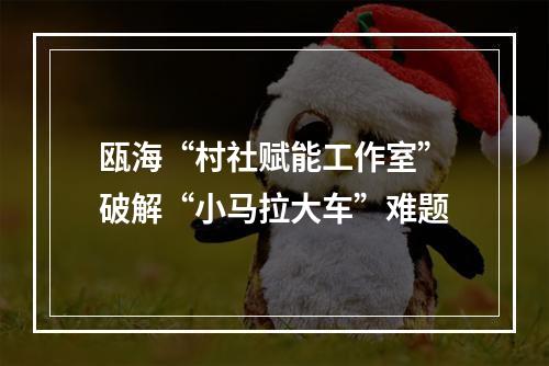 瓯海“村社赋能工作室”破解“小马拉大车”难题