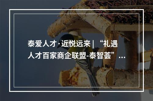 泰爱人才·近悦远来 | “礼遇人才百家商企联盟-泰智荟”征集令