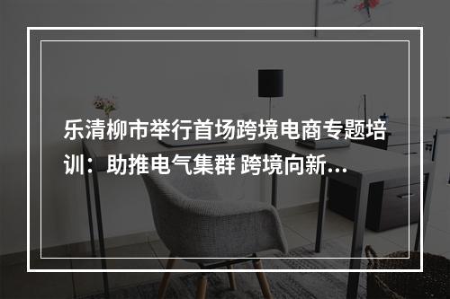 乐清柳市举行首场跨境电商专题培训：助推电气集群 跨境向新启航