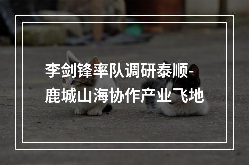 李剑锋率队调研泰顺-鹿城山海协作产业飞地