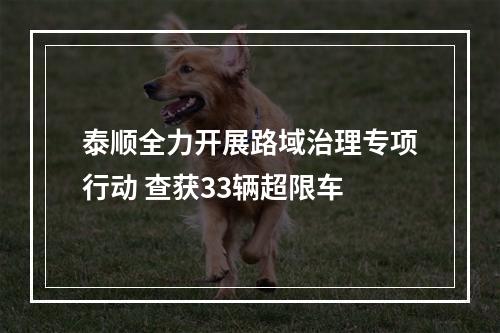 泰顺全力开展路域治理专项行动 查获33辆超限车