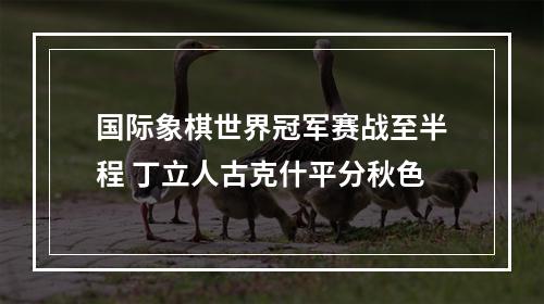 国际象棋世界冠军赛战至半程 丁立人古克什平分秋色