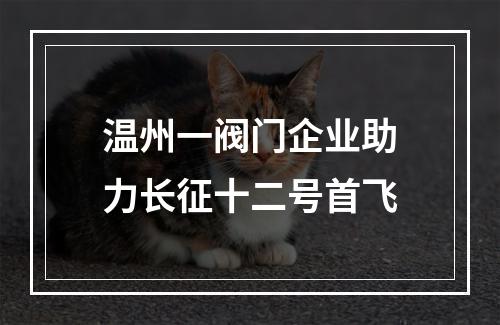 温州一阀门企业助力长征十二号首飞