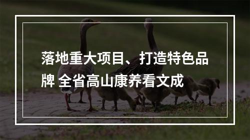 落地重大项目、打造特色品牌 全省高山康养看文成