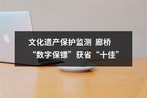文化遗产保护监测  廊桥“数字保镖”获省“十佳”