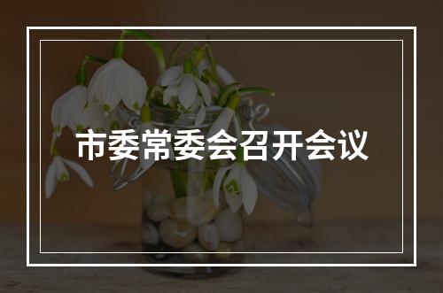 市委常委会召开会议