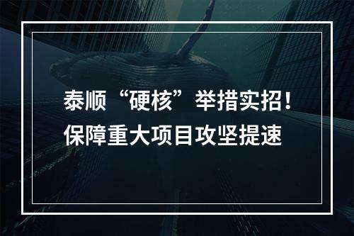 泰顺“硬核”举措实招！保障重大项目攻坚提速