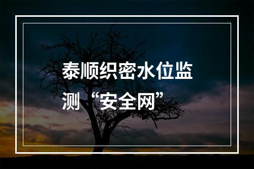 泰顺织密水位监测“安全网”