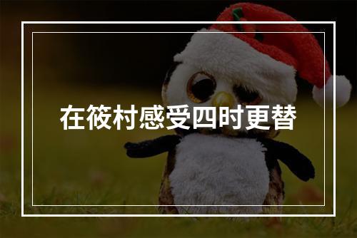 在筱村感受四时更替