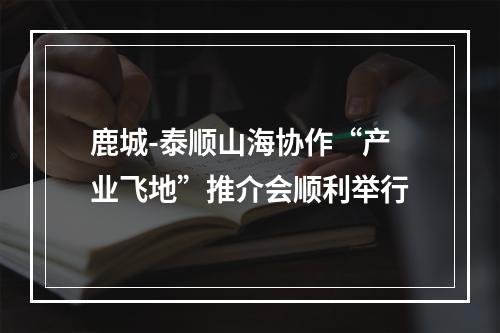 鹿城-泰顺山海协作“产业飞地”推介会顺利举行
