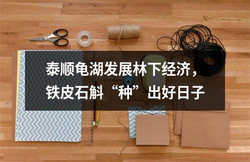 泰顺龟湖发展林下经济，铁皮石斛“种”出好日子