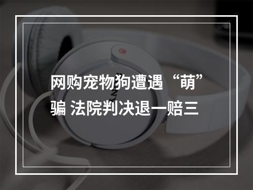 网购宠物狗遭遇“萌”骗 法院判决退一赔三