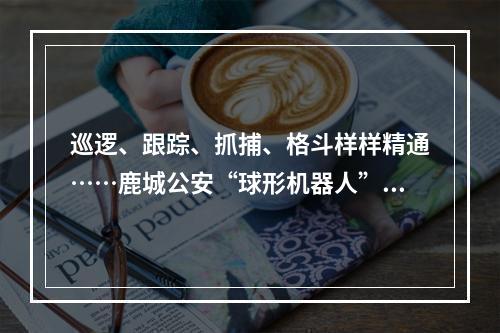 巡逻、跟踪、抓捕、格斗样样精通……鹿城公安“球形机器人”帅气登场