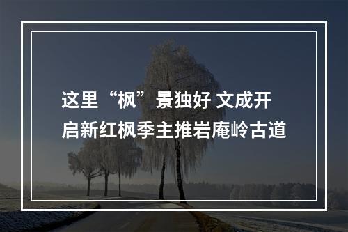 这里“枫”景独好 文成开启新红枫季主推岩庵岭古道