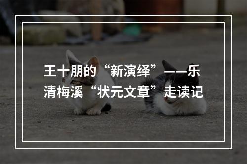 王十朋的“新演绎”——乐清梅溪“状元文章”走读记