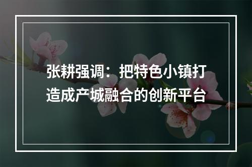 张耕强调：把特色小镇打造成产城融合的创新平台