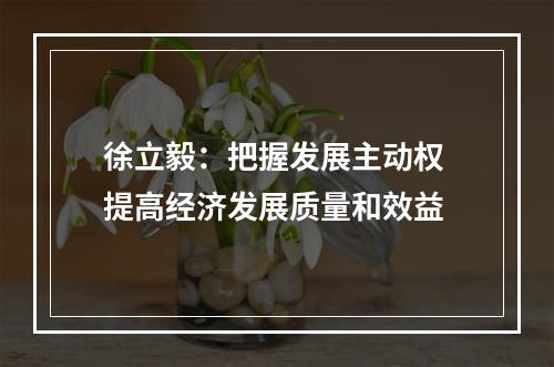 徐立毅：把握发展主动权 提高经济发展质量和效益