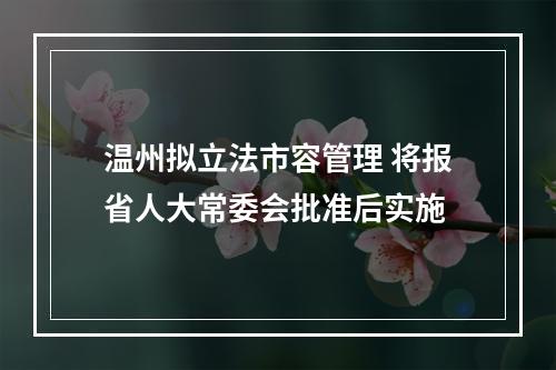 温州拟立法市容管理 将报省人大常委会批准后实施
