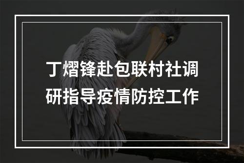 丁熠锋赴包联村社调研指导疫情防控工作