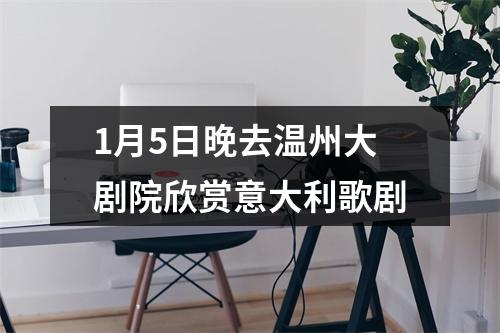 1月5日晚去温州大剧院欣赏意大利歌剧