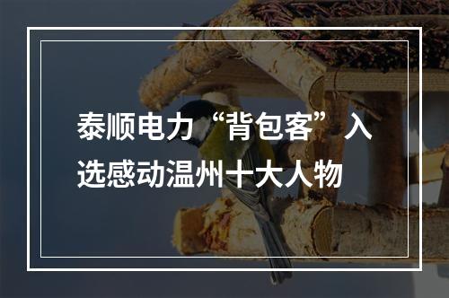 泰顺电力“背包客”入选感动温州十大人物