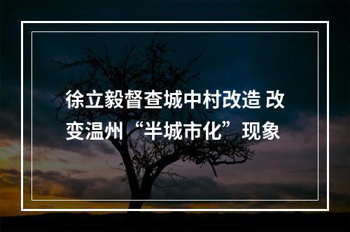 徐立毅督查城中村改造 改变温州“半城市化”现象