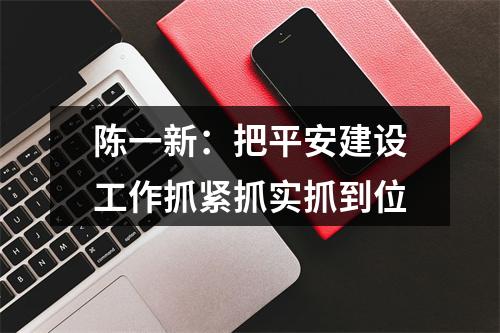 陈一新：把平安建设工作抓紧抓实抓到位