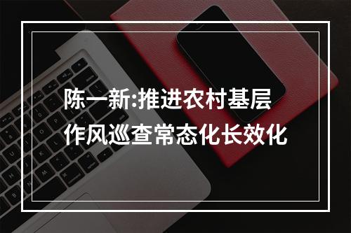 陈一新:推进农村基层作风巡查常态化长效化