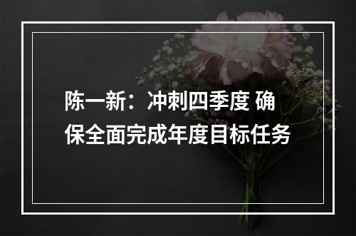 陈一新：冲刺四季度 确保全面完成年度目标任务