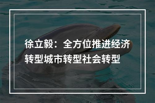 徐立毅：全方位推进经济转型城市转型社会转型