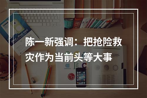 陈一新强调：把抢险救灾作为当前头等大事