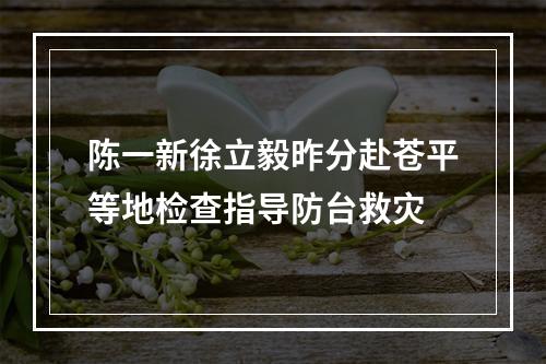 陈一新徐立毅昨分赴苍平等地检查指导防台救灾
